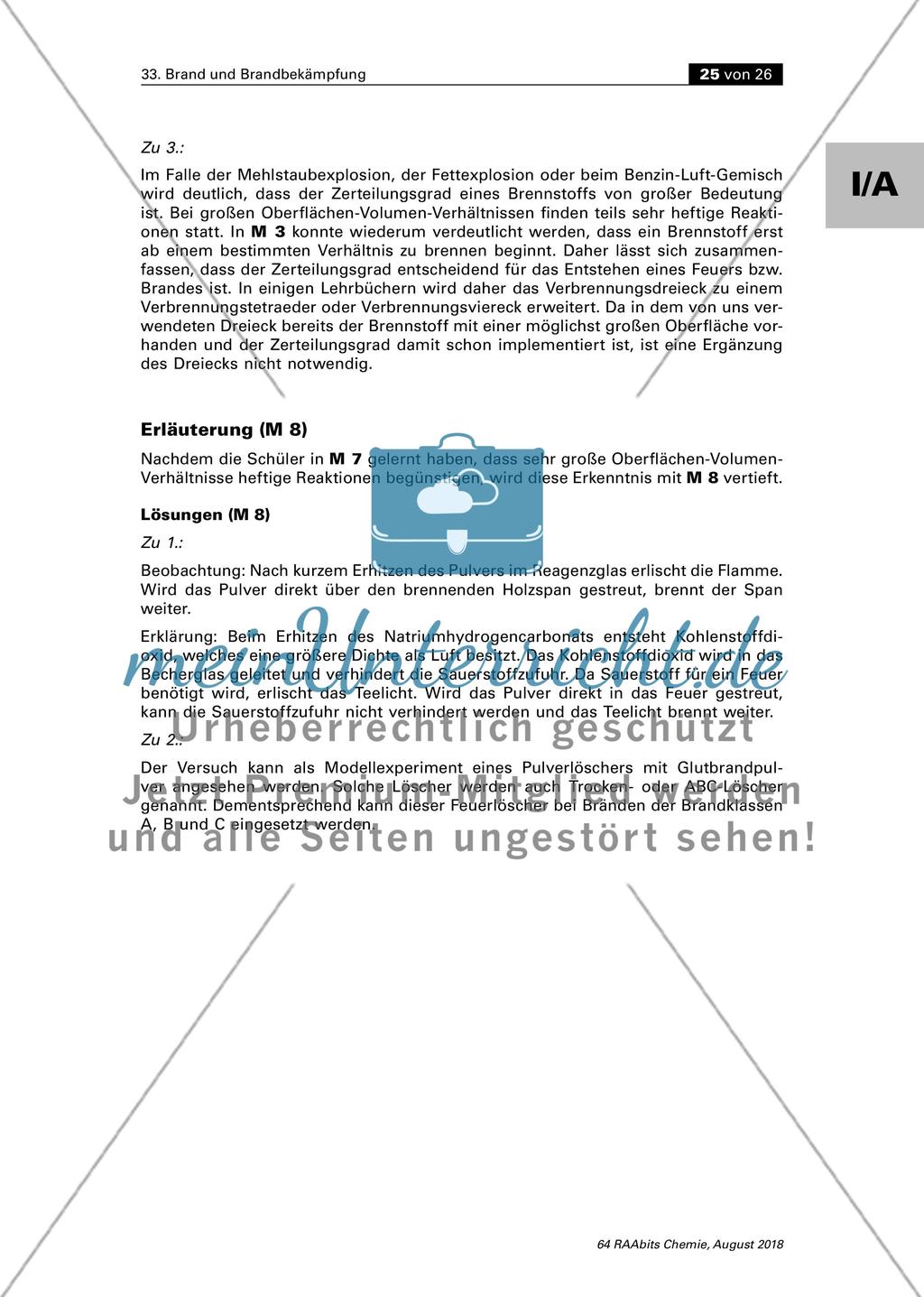 Erläuterungen und Lösungen Preview 10
