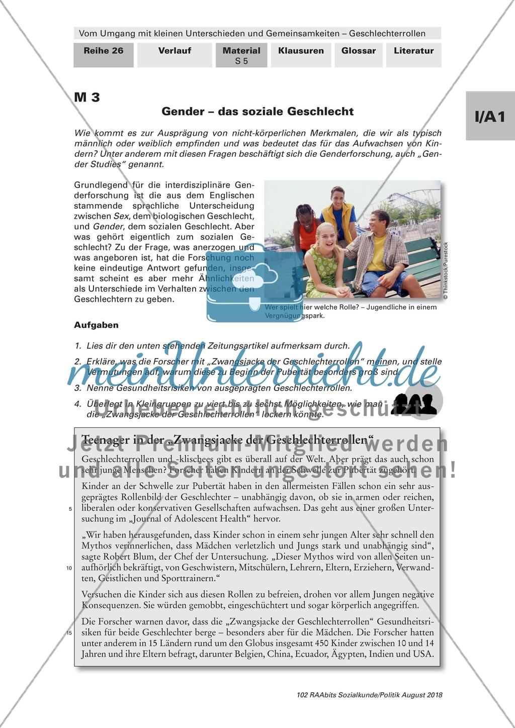 Stereotypen zu den Geschlechterrollen: Männer und Frauen Preview 4