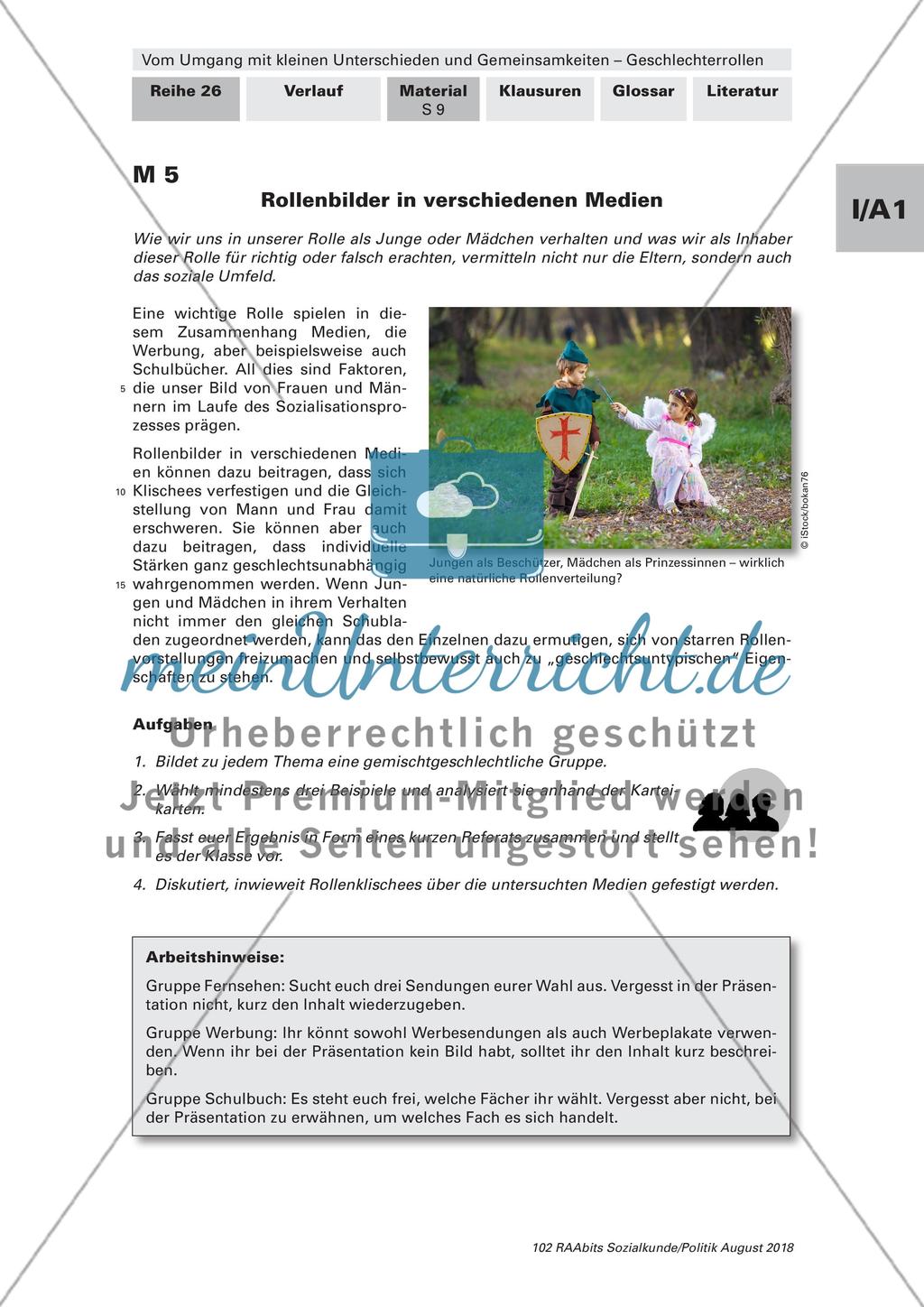 Geschlechterrollen in der Öffentlichkeit und der Genderforschung Preview 1