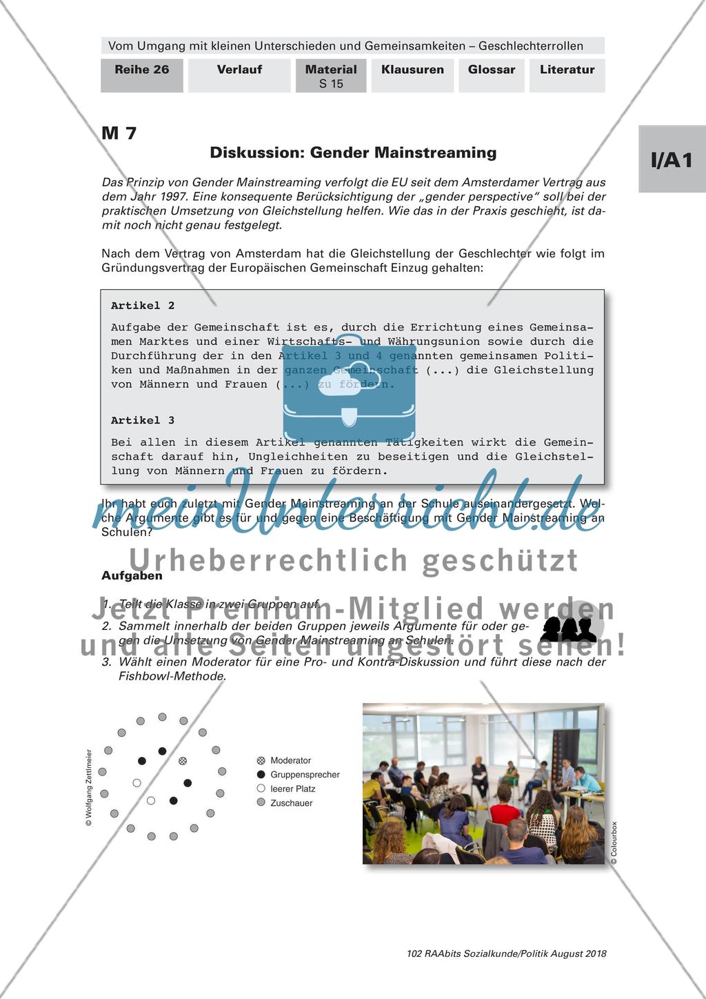 Geschlechterrollen in der Öffentlichkeit und der Genderforschung Preview 7