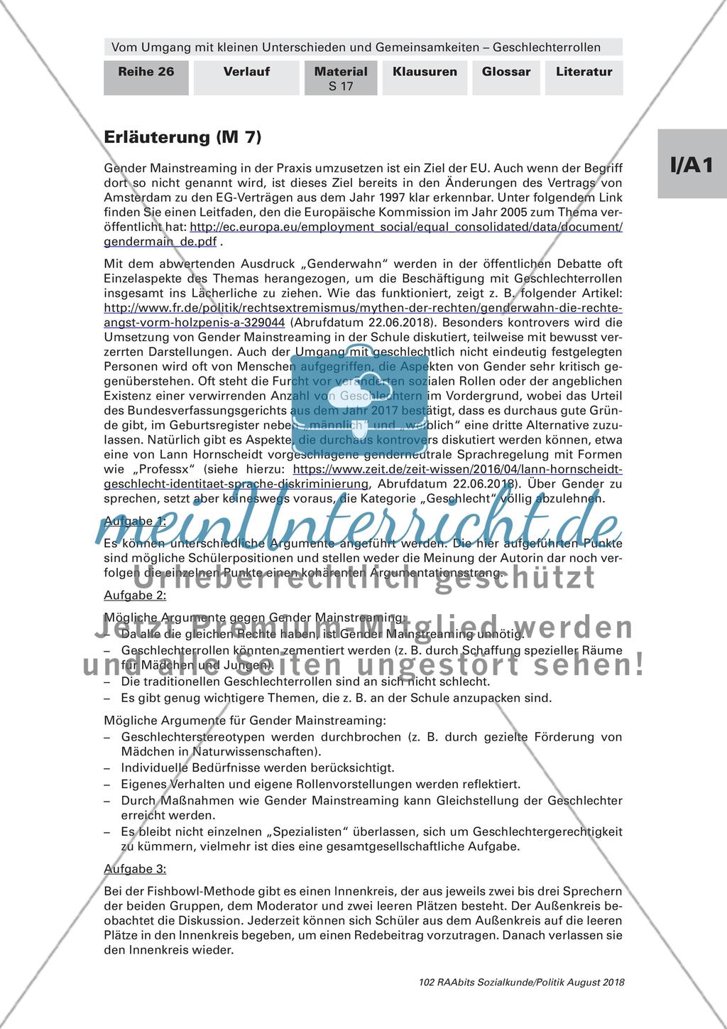 Geschlechterrollen in der Öffentlichkeit und der Genderforschung Preview 9