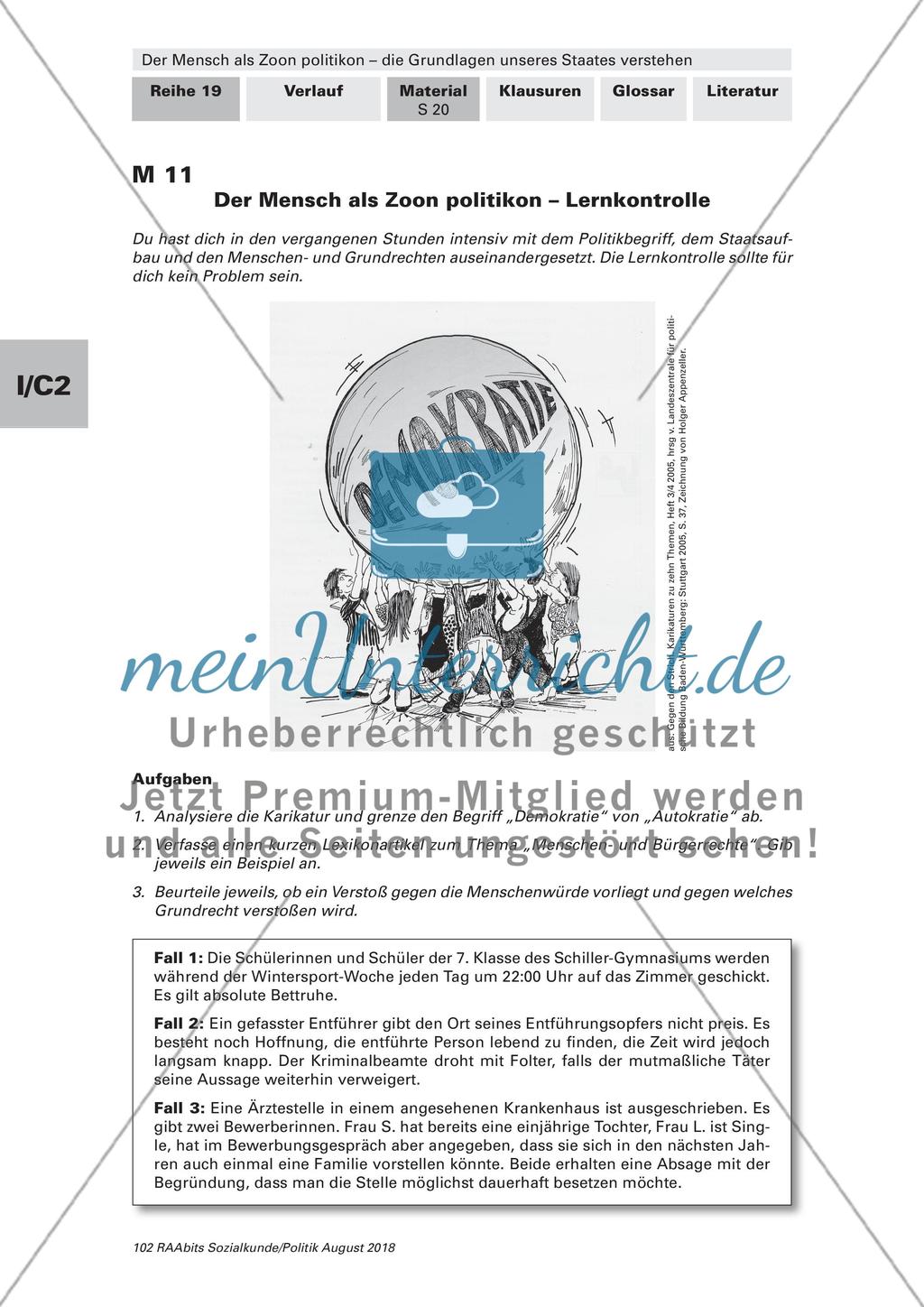 Die Rechte des Menschen und deren Schutz Preview 9