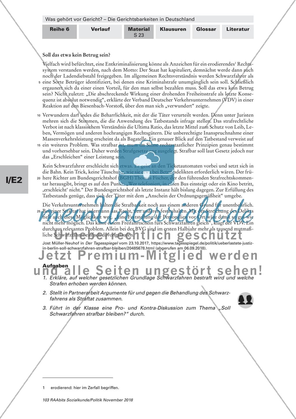 Ablauf und Gegenüberstellung von Straf- und Zivilverfahren Preview 12