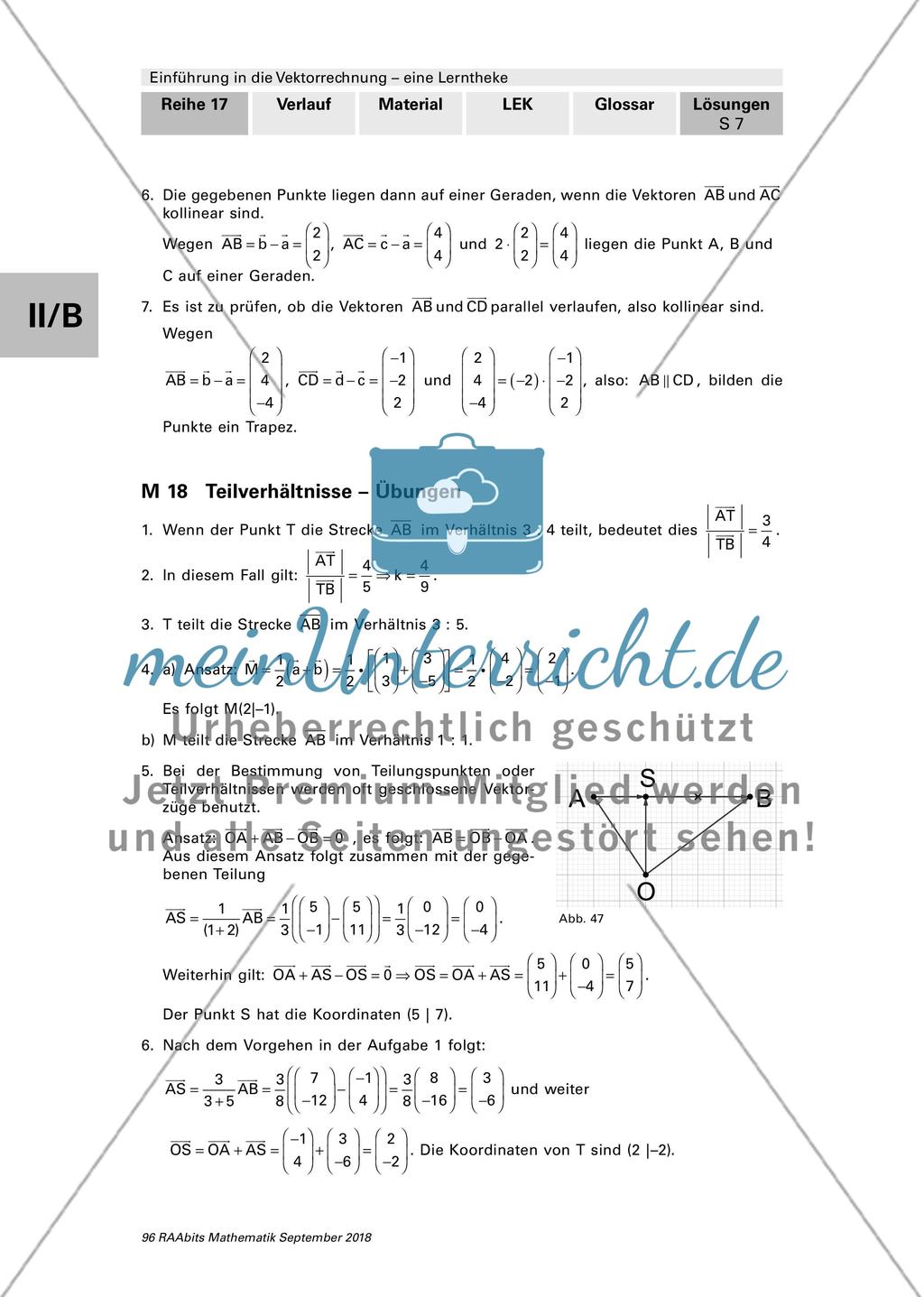 Erläuterungen und Lösungen: Lerntheke zur Vektorrechnung Preview 7