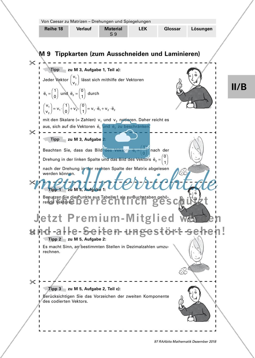Drehungen und Spiegelungen mit Matrizen Preview 9