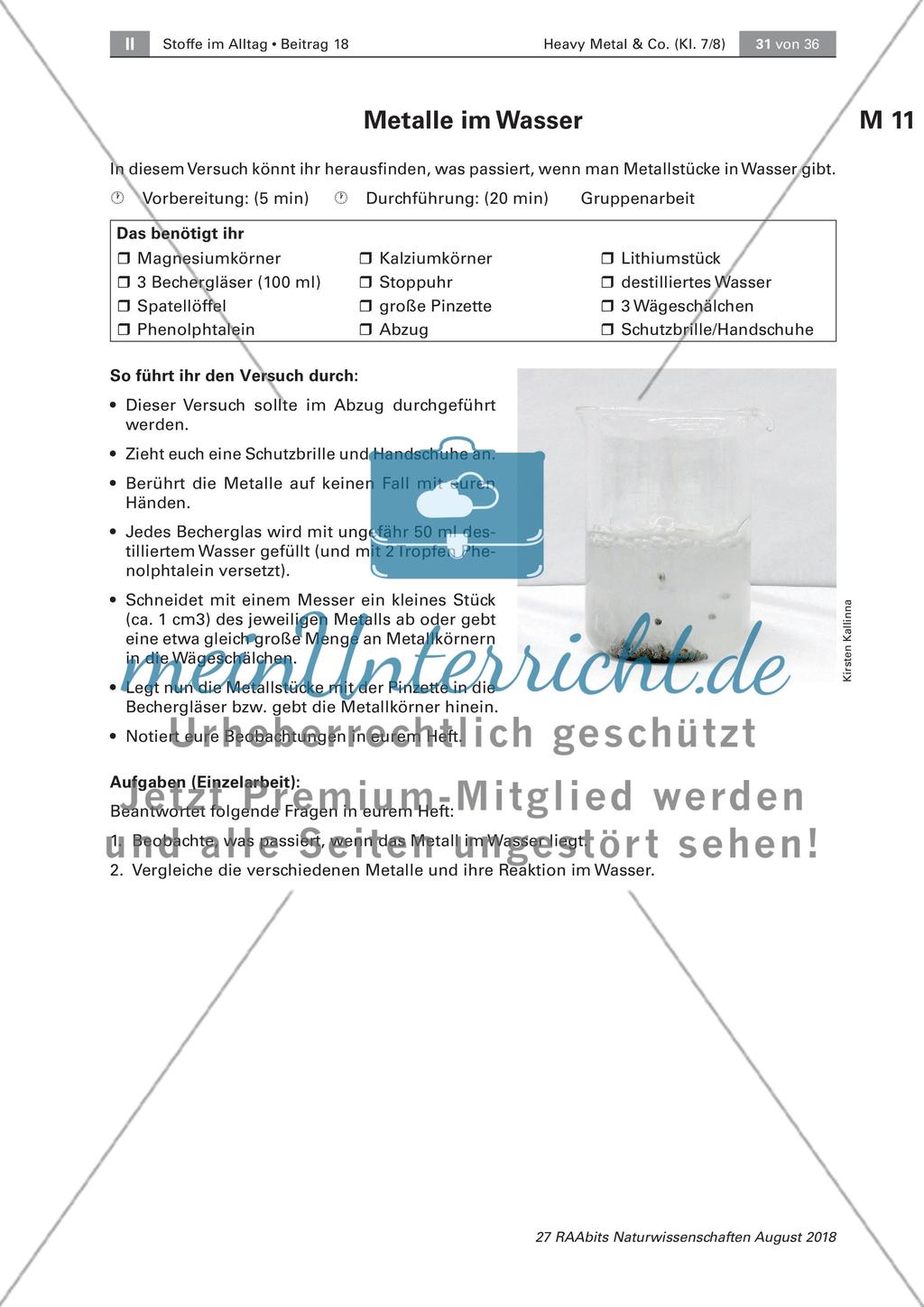 Heavy Metals & Co.: Teil 3 Preview 3