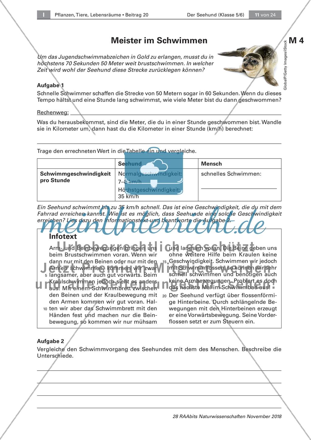 Der Seehund: Schwimm- und Fressverhalten Preview 1