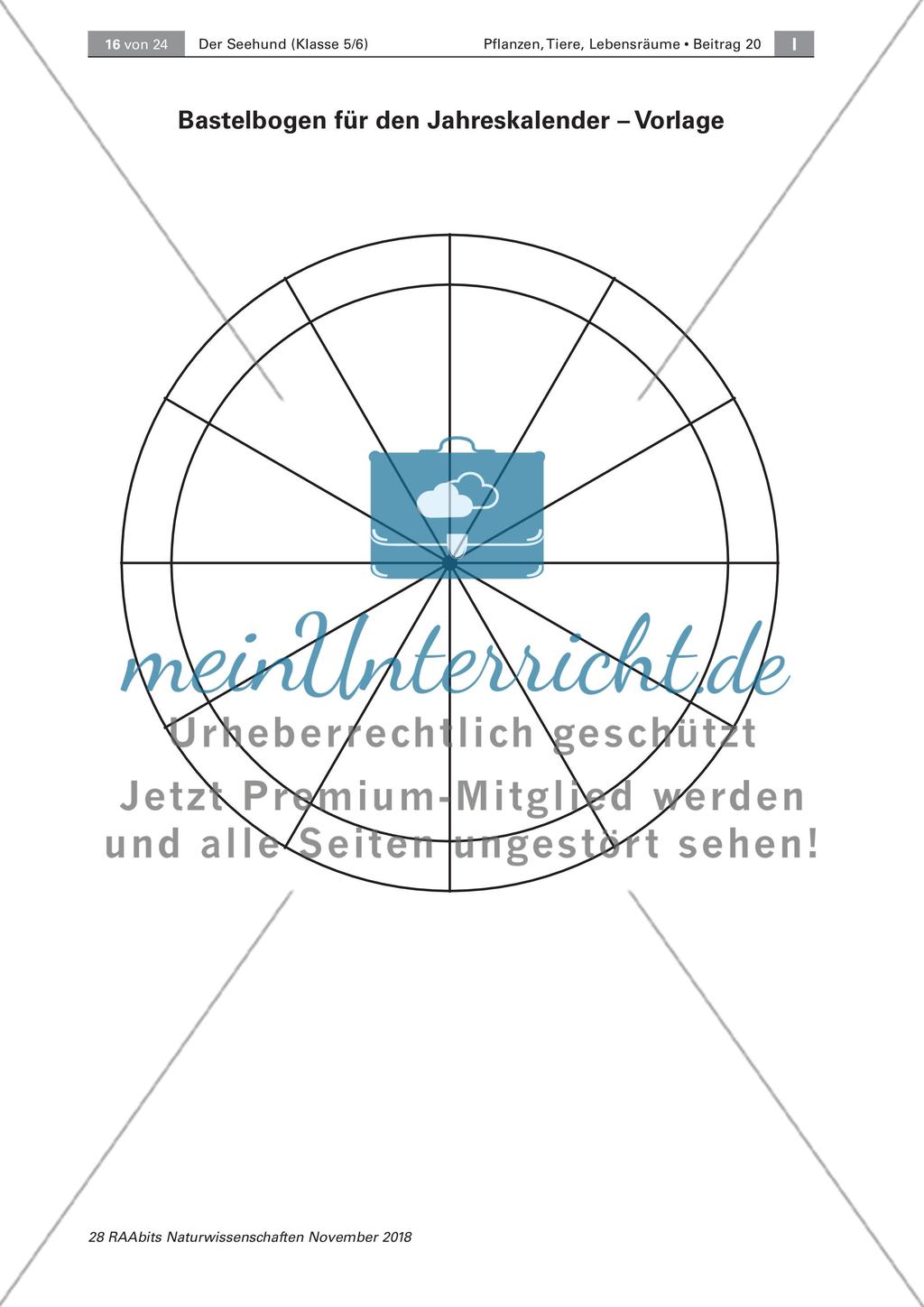 Der Seehund: Schwimm- und Fressverhalten Preview 6