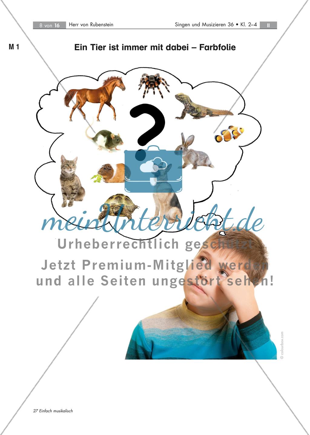Herr von Rubenstein und seine Viecher - Bühne frei für ein tierisches Mitmachlied mit 2 Audio-Tracks, Stand: 09/2018 Preview 8