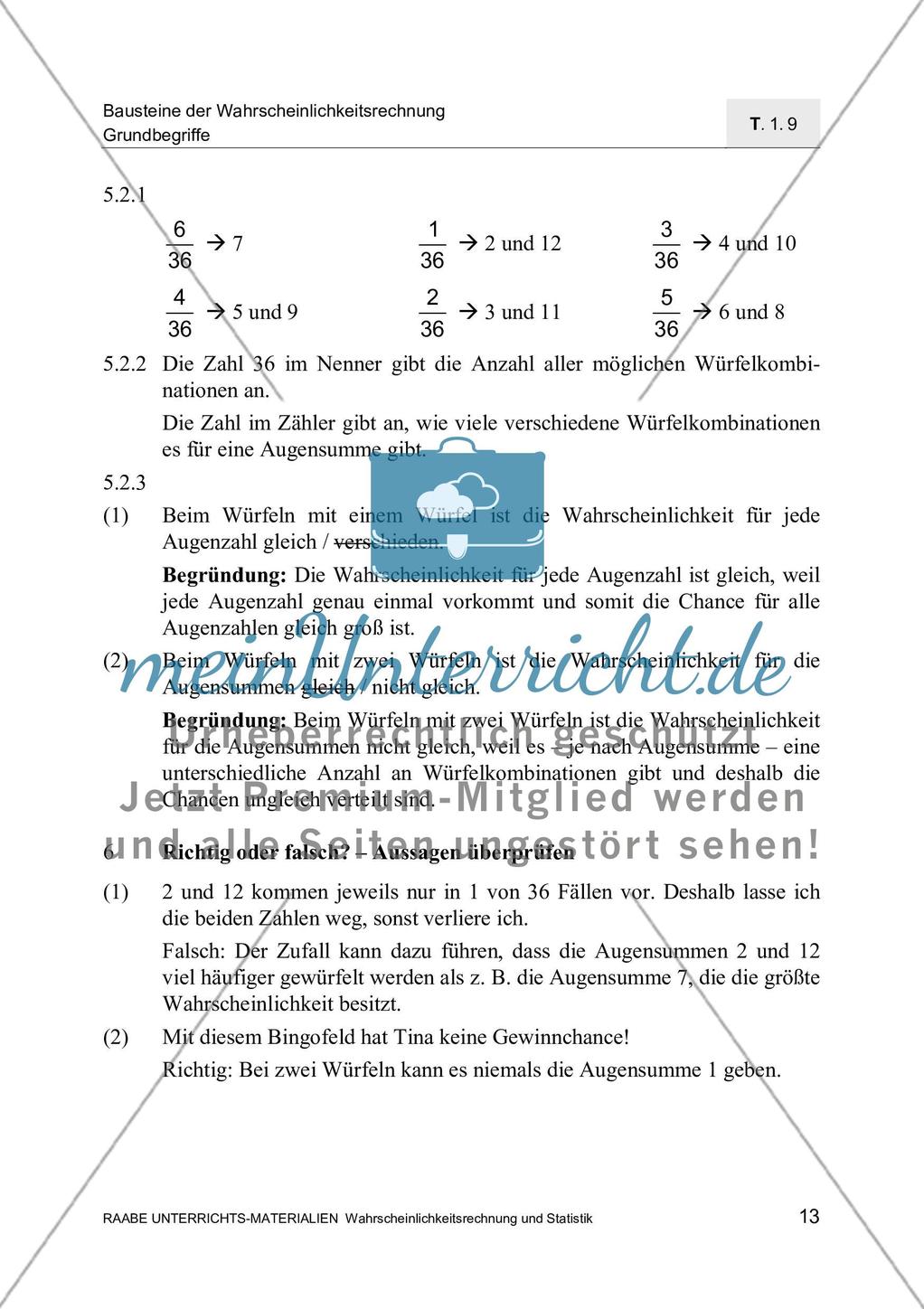 Kompetenzprofil und Lösungen Preview 3