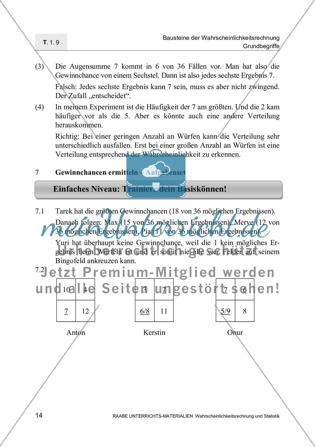 Kompetenzprofil und Lösungen Preview 4
