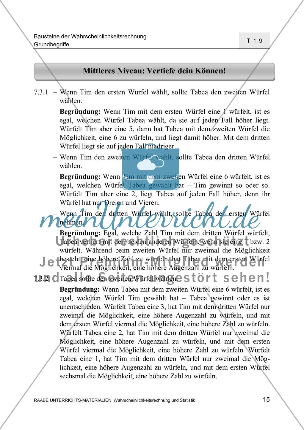 Kompetenzprofil und Lösungen Preview 5