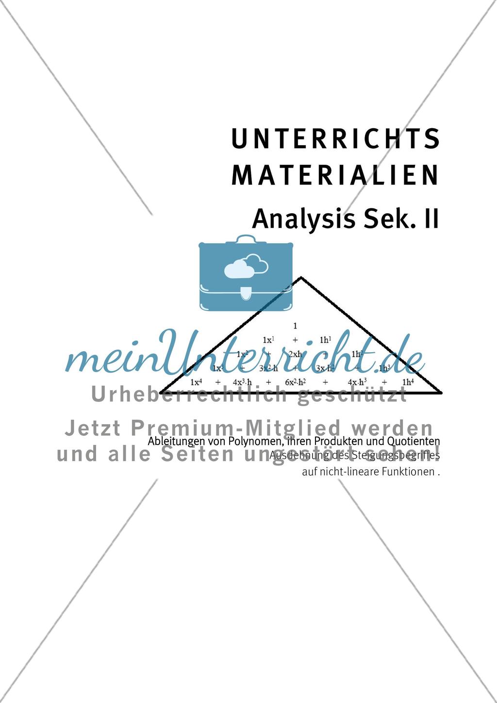 Ableitungen von Polynomen, ihren Produkten und Quotienten Preview 1