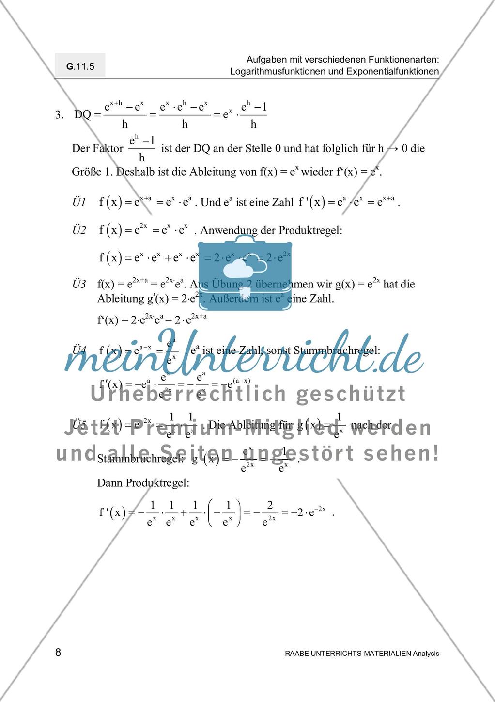 Ableitungen von Exponential- und Logarithmusfunktionen Preview 10
