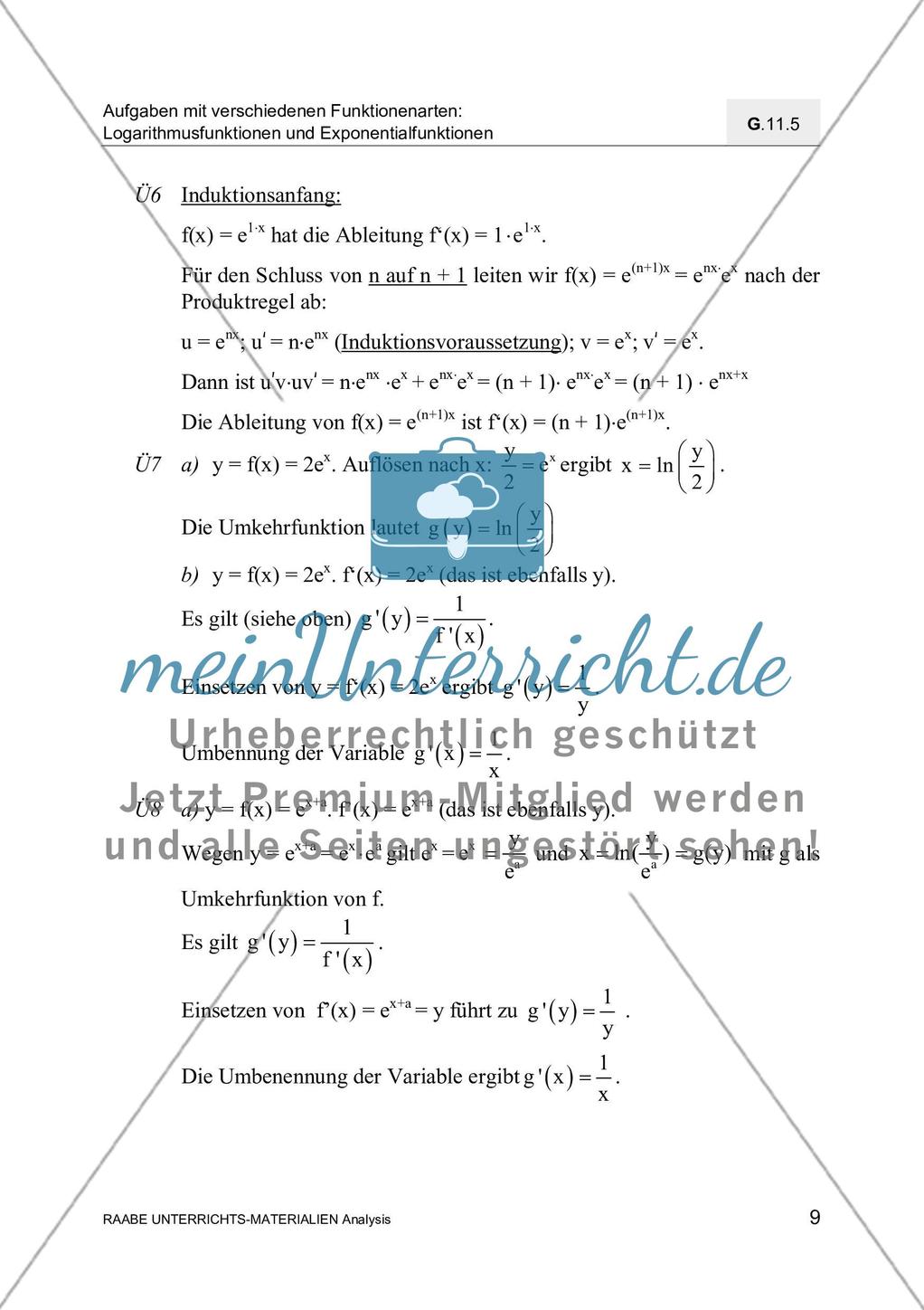 Ableitungen von Exponential- und Logarithmusfunktionen Preview 11