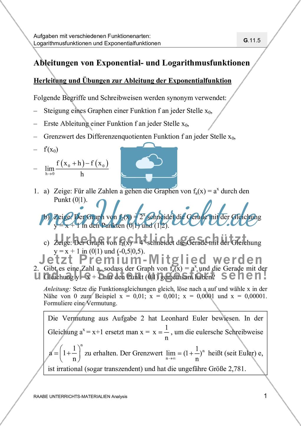 Ableitungen von Exponential- und Logarithmusfunktionen Preview 3