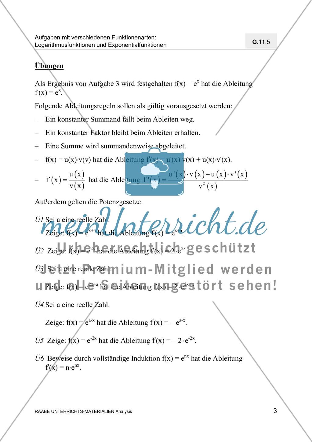 Ableitungen von Exponential- und Logarithmusfunktionen Preview 5