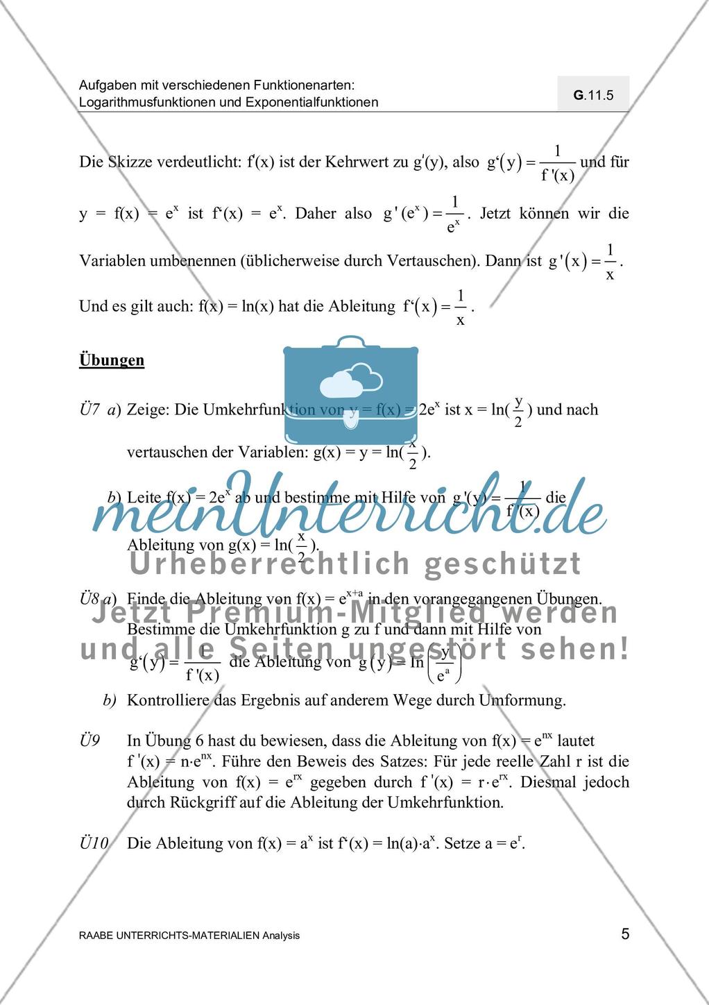 Ableitungen von Exponential- und Logarithmusfunktionen Preview 7
