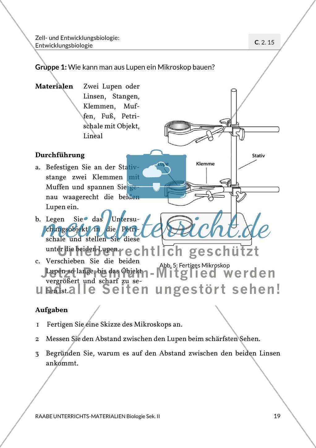 Aktuelle Erkenntnisse zur Befruchtung Preview 11