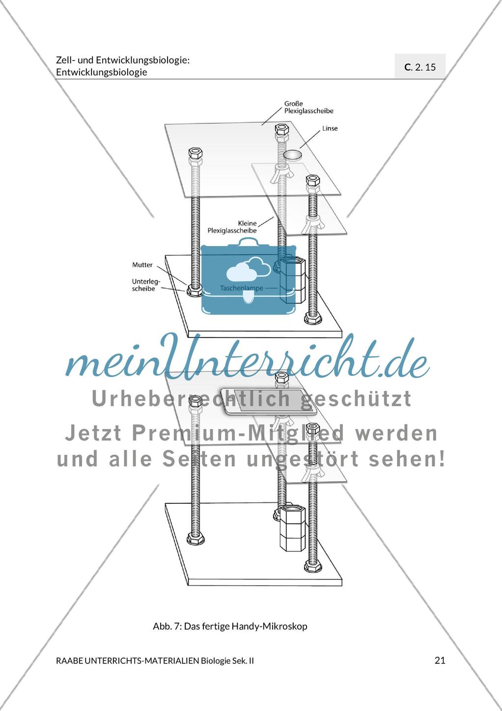 Aktuelle Erkenntnisse zur Befruchtung Preview 13