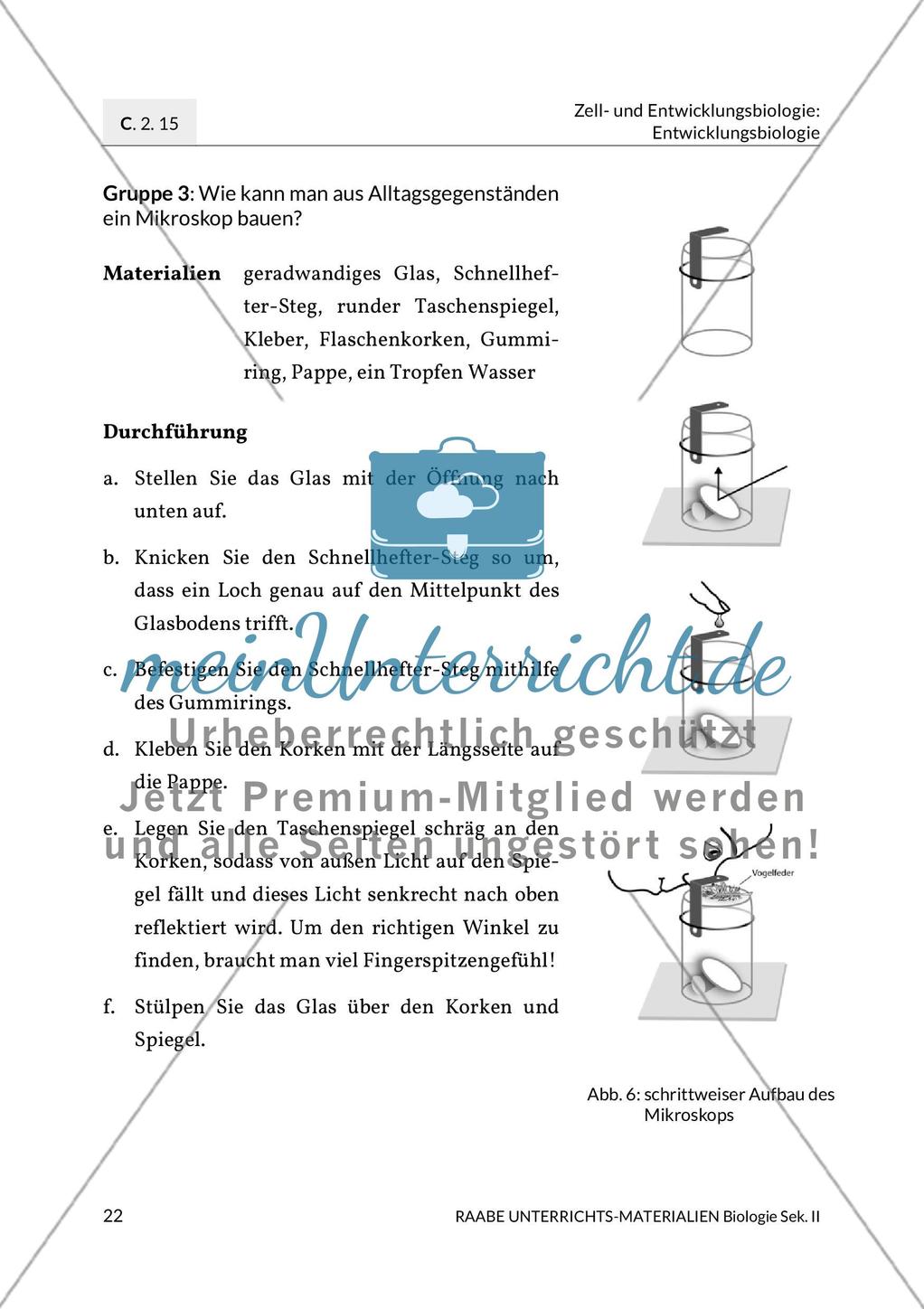 Aktuelle Erkenntnisse zur Befruchtung Preview 14