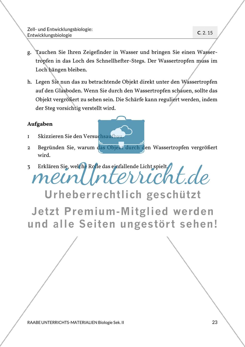 Aktuelle Erkenntnisse zur Befruchtung Preview 15