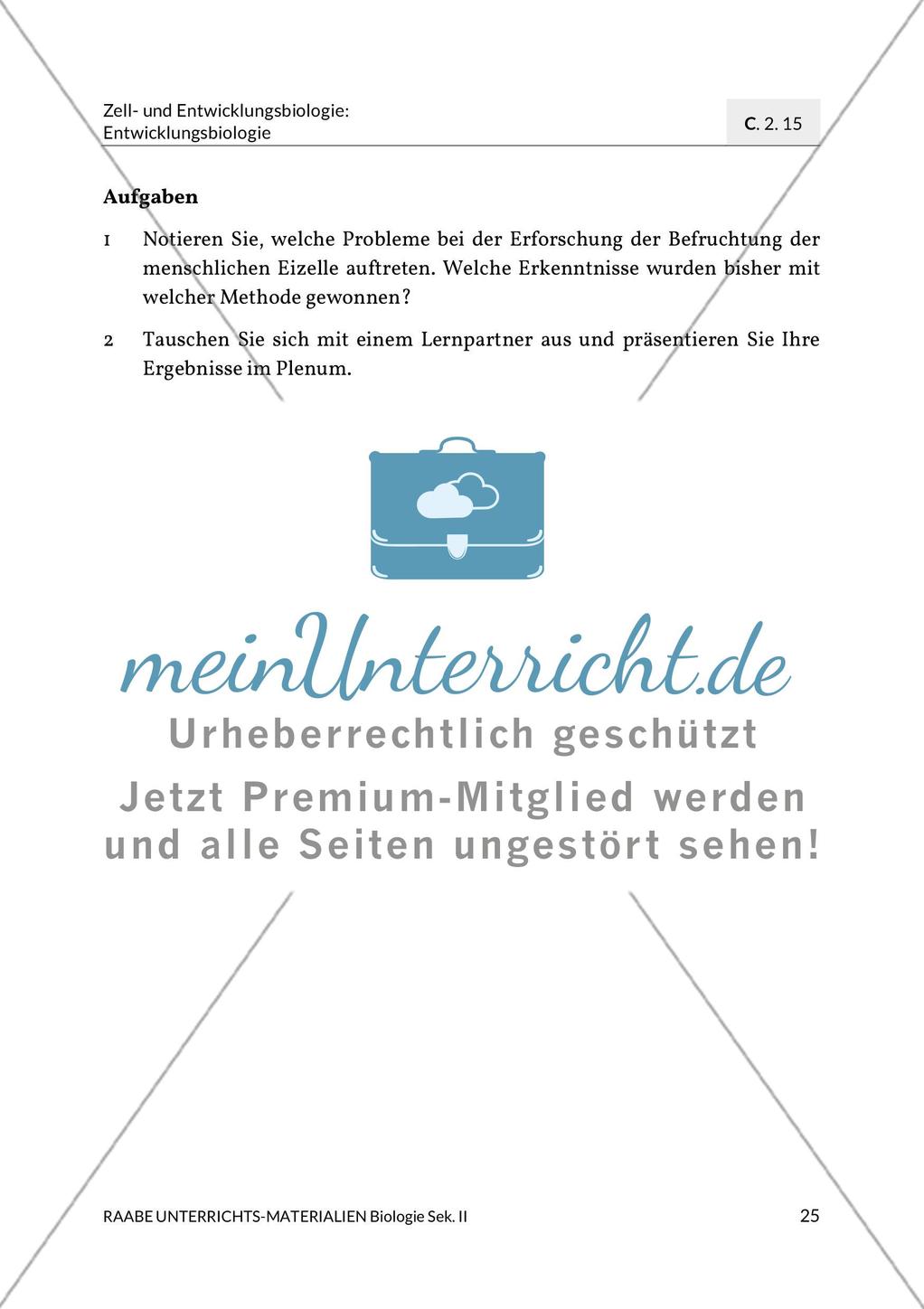 Aktuelle Erkenntnisse zur Befruchtung Preview 17