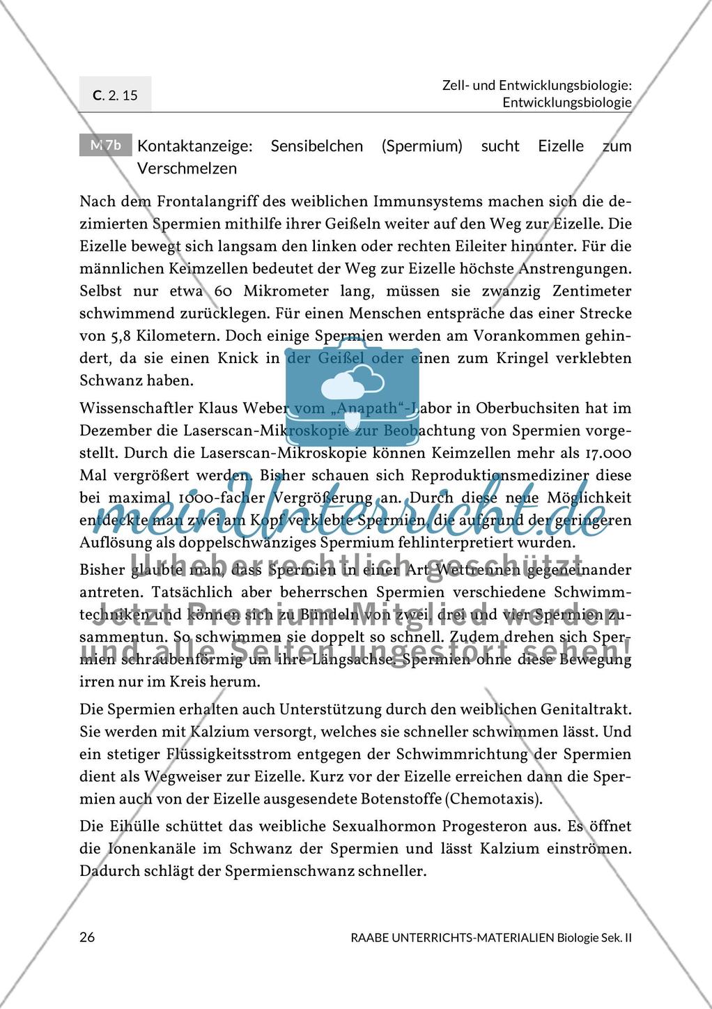 Aktuelle Erkenntnisse zur Befruchtung Preview 18