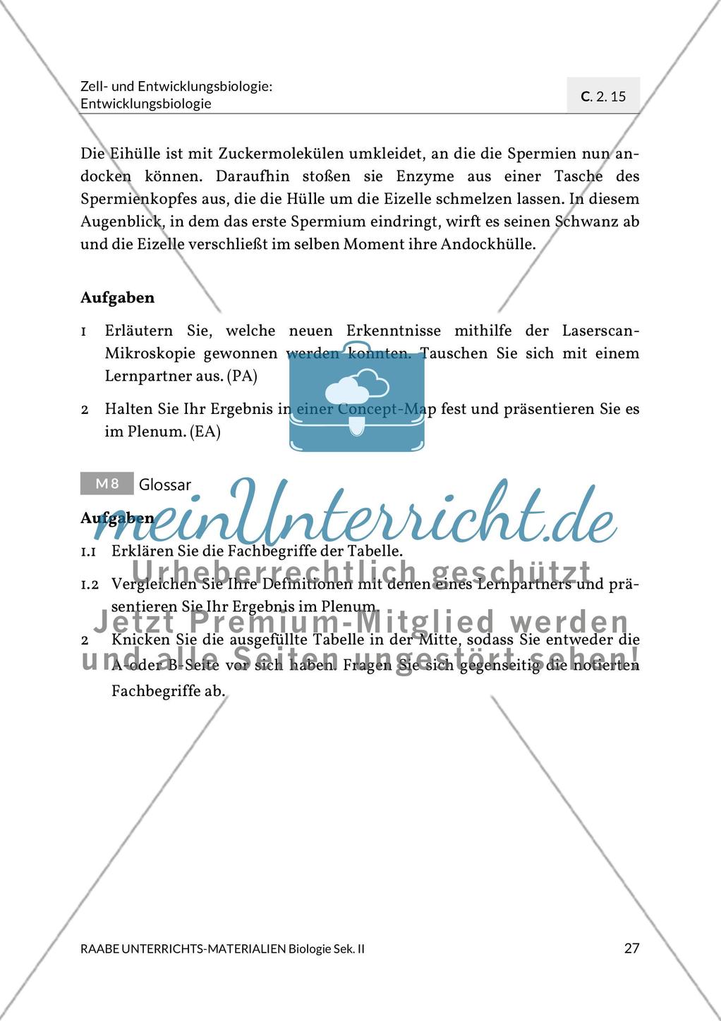 Aktuelle Erkenntnisse zur Befruchtung Preview 19