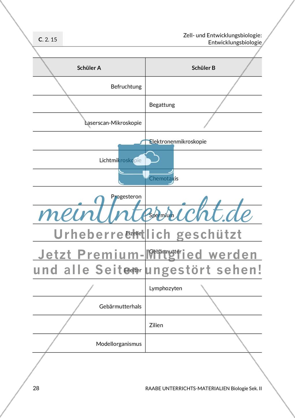 Aktuelle Erkenntnisse zur Befruchtung Preview 20