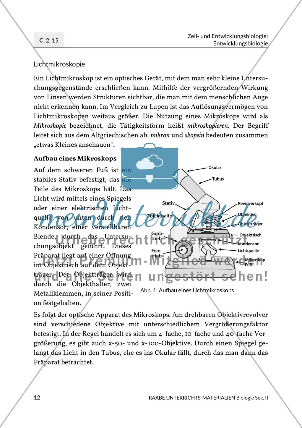 Aktuelle Erkenntnisse zur Befruchtung Preview 4