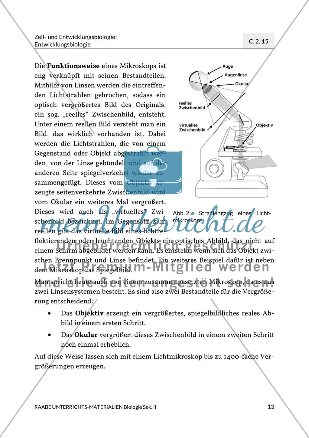 Aktuelle Erkenntnisse zur Befruchtung Preview 5