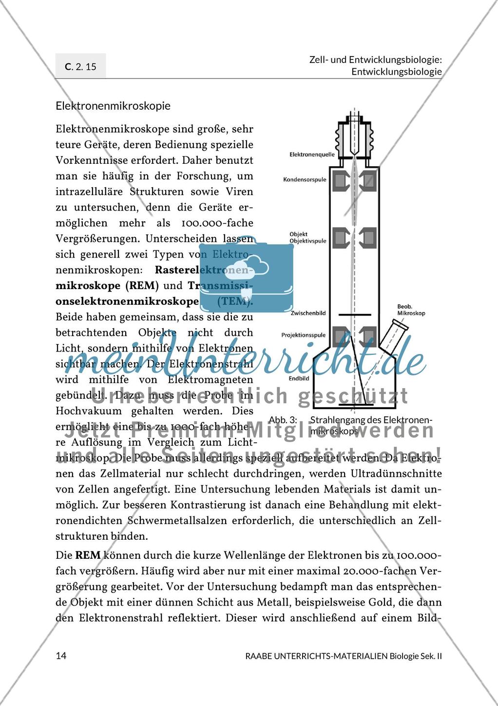 Aktuelle Erkenntnisse zur Befruchtung Preview 6