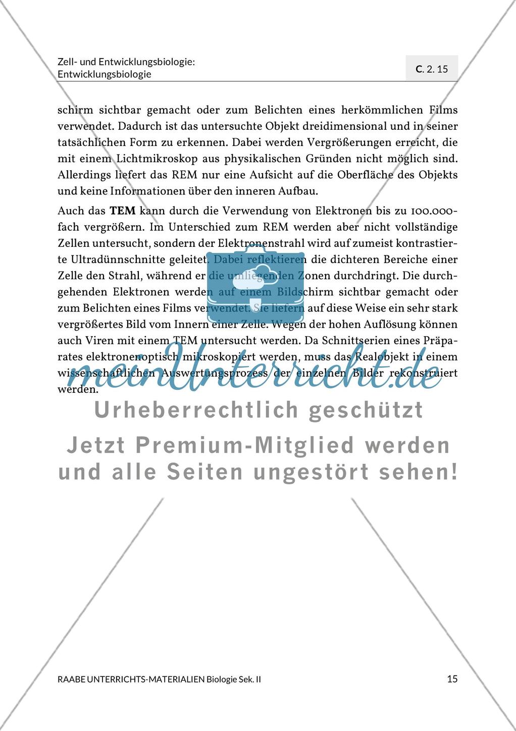 Aktuelle Erkenntnisse zur Befruchtung Preview 7
