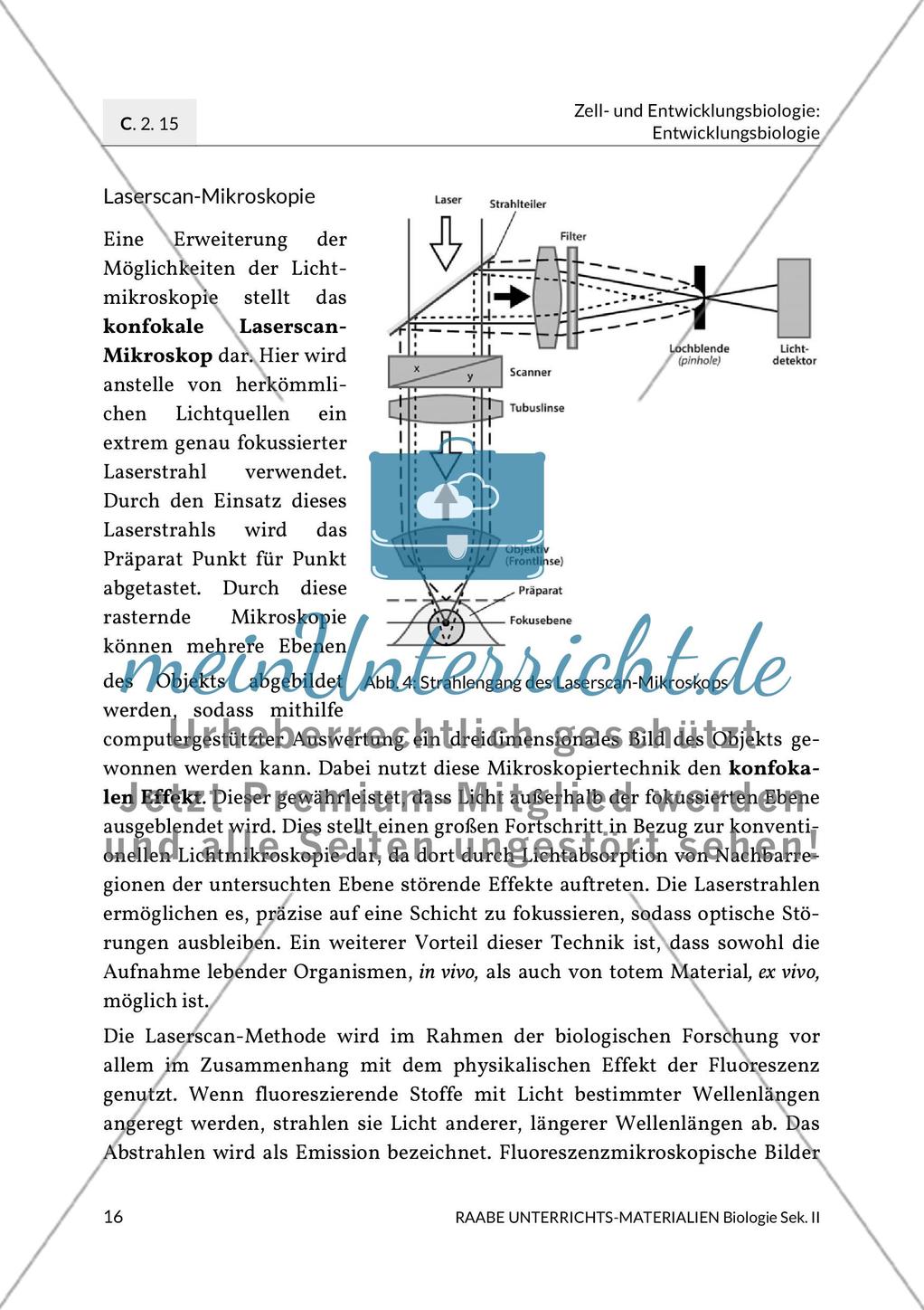 Aktuelle Erkenntnisse zur Befruchtung Preview 8