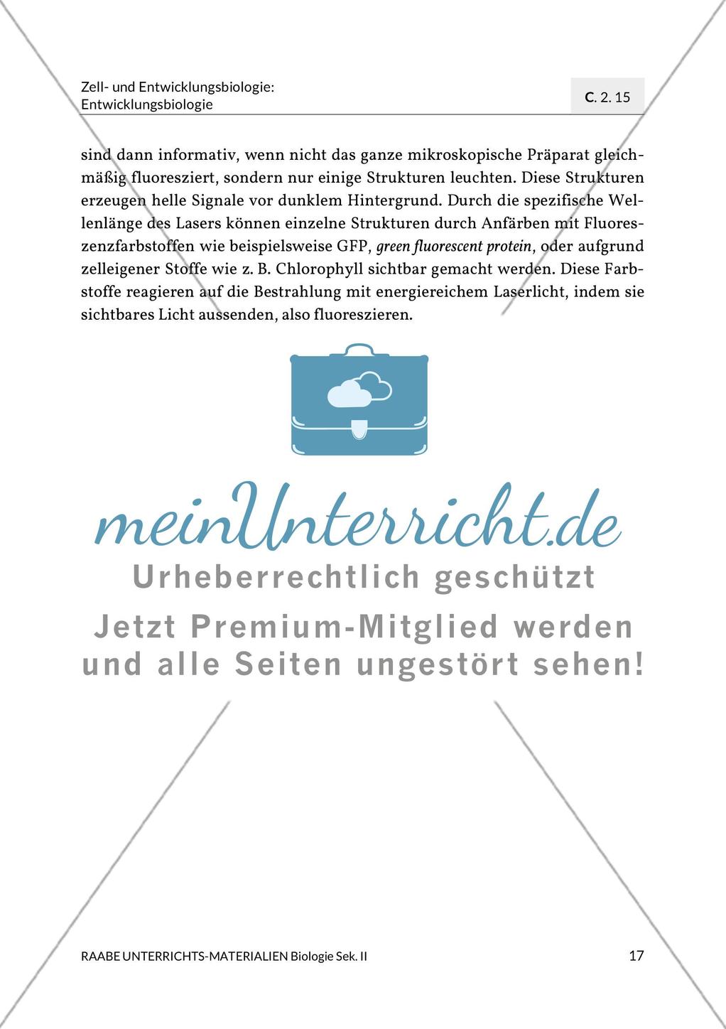 Aktuelle Erkenntnisse zur Befruchtung Preview 9
