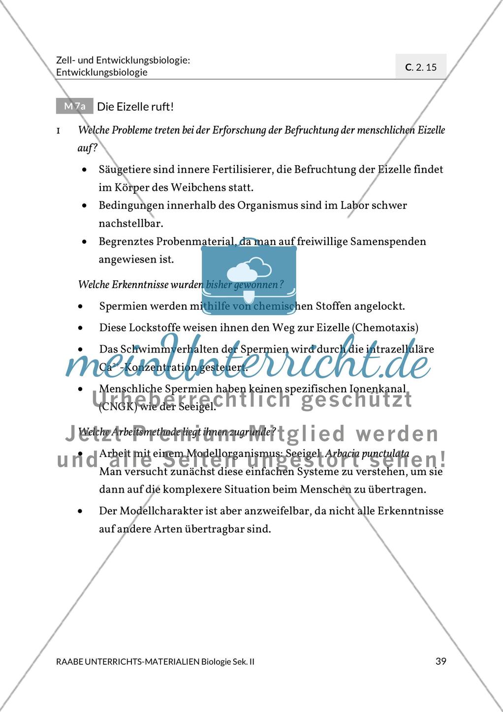 Erläuterungen Preview 11