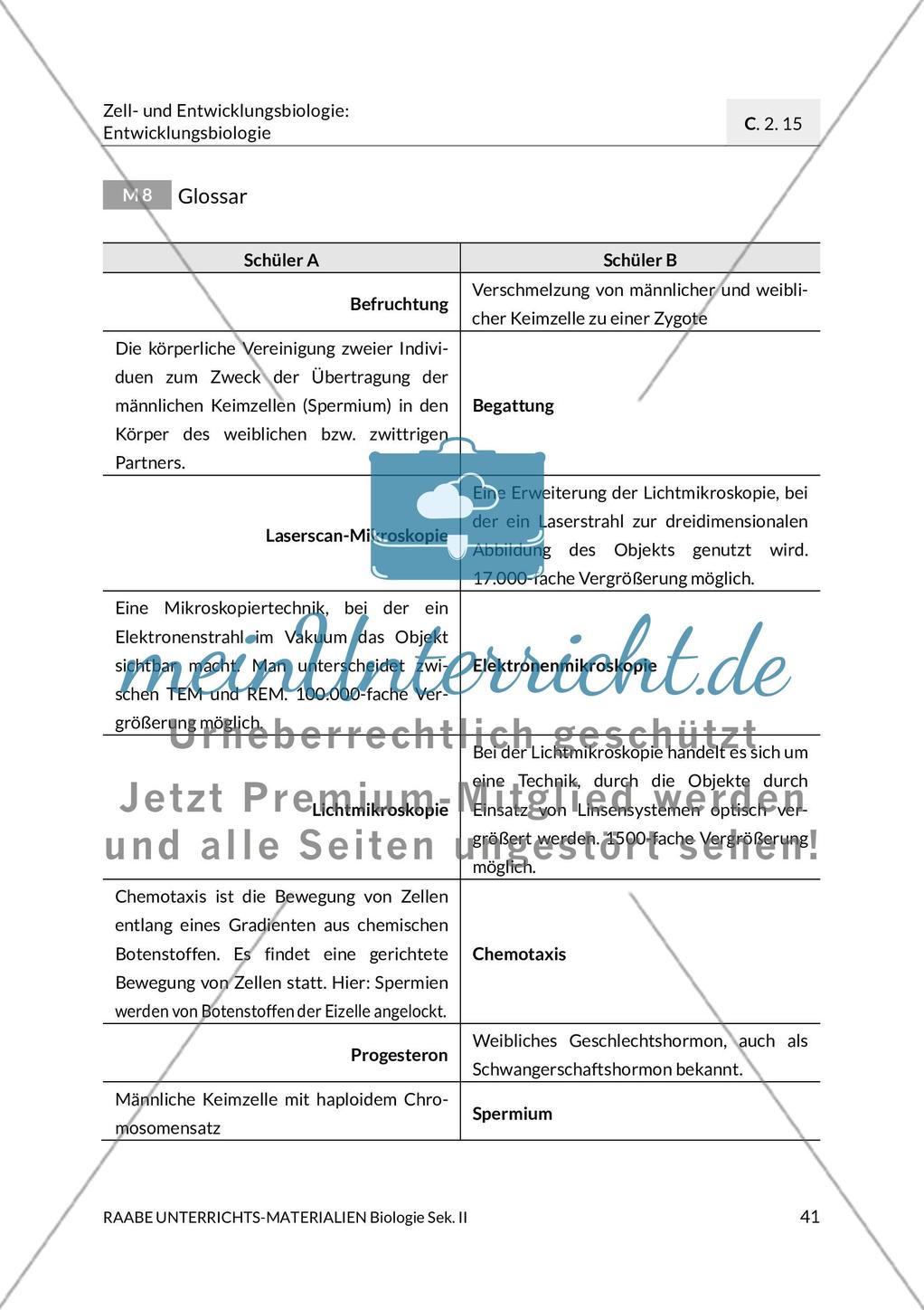 Erläuterungen Preview 13
