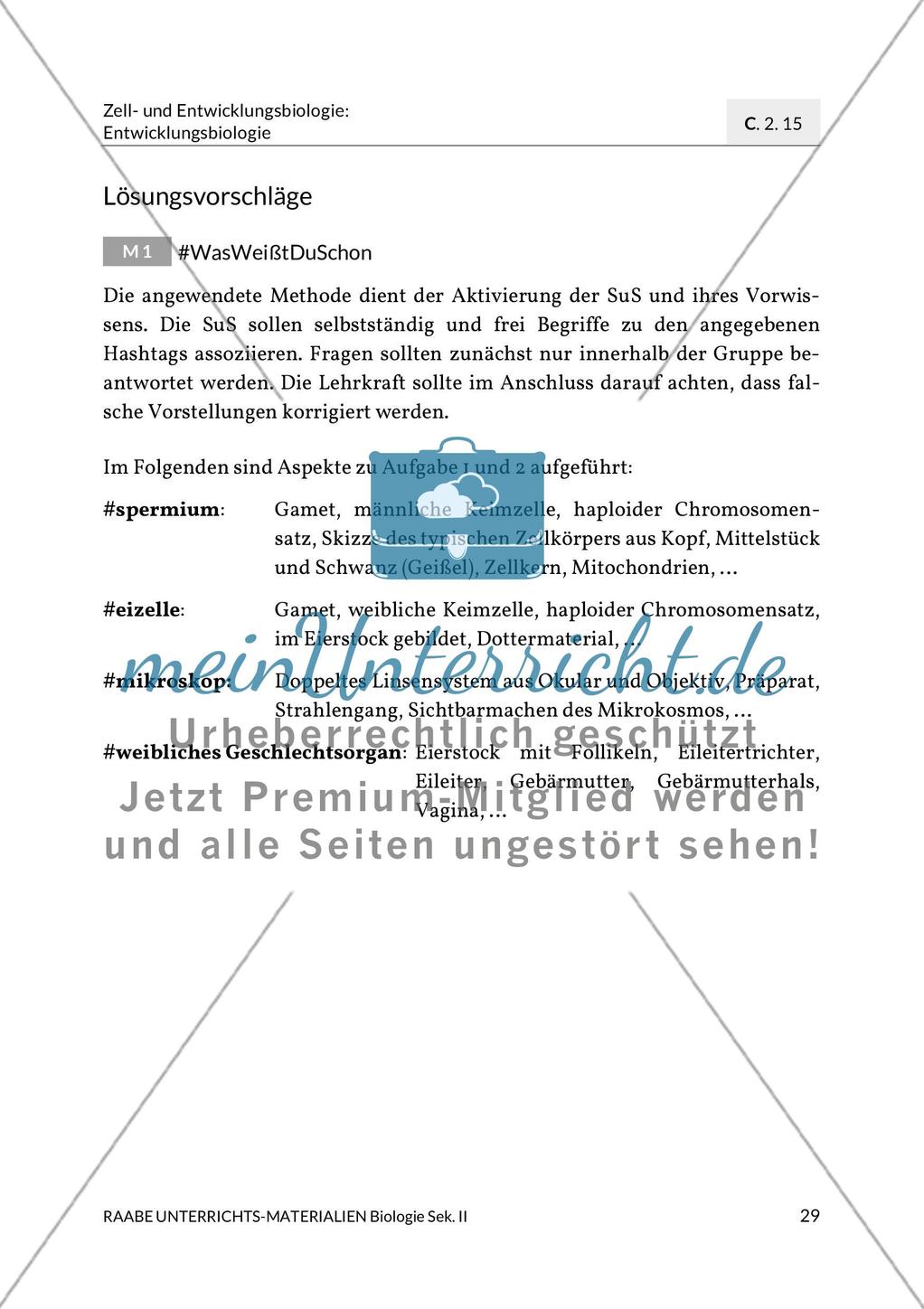 Erläuterungen Preview 1