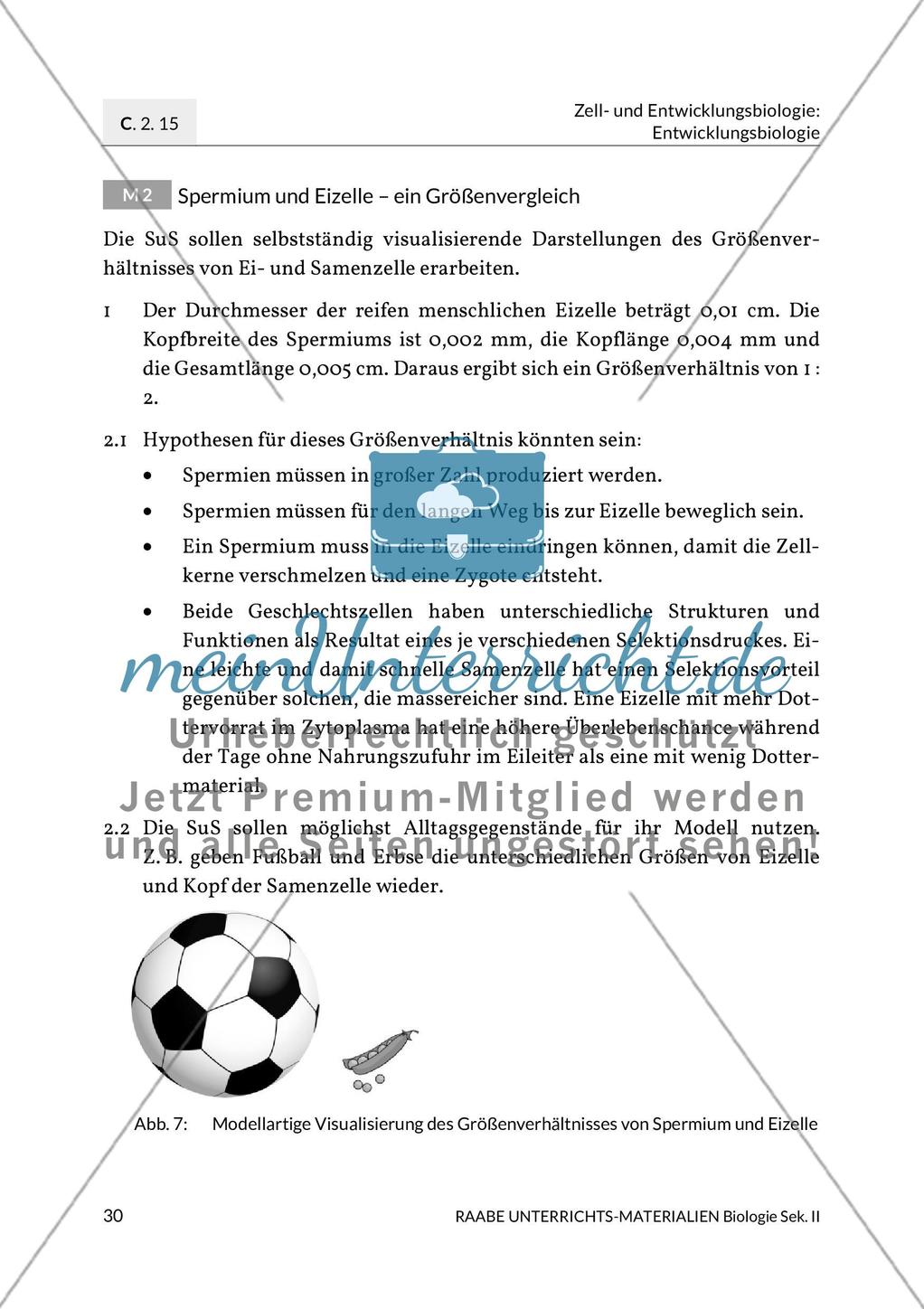 Erläuterungen Preview 2