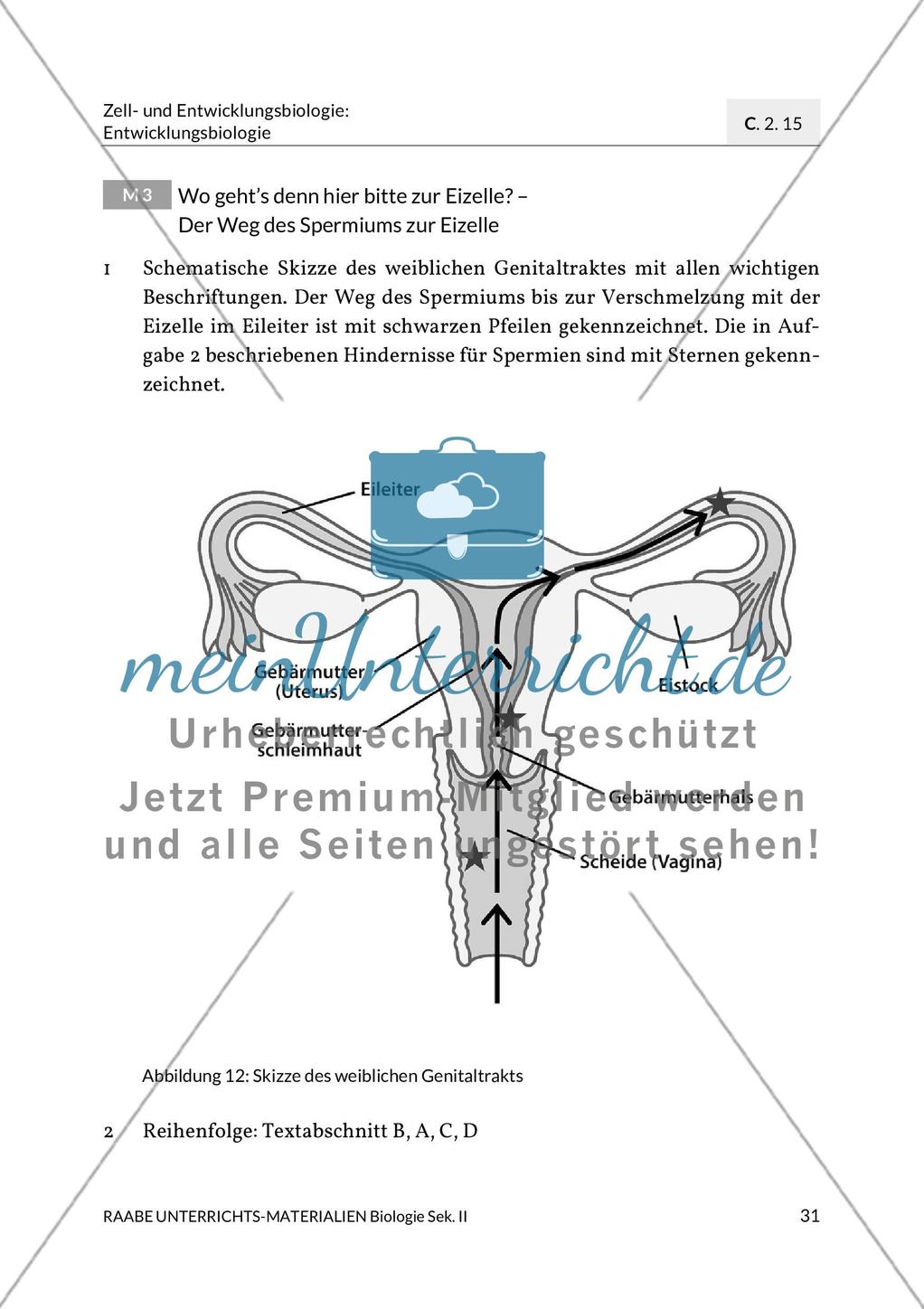 Erläuterungen Preview 3