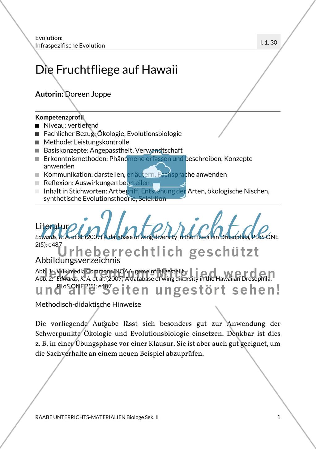 Evolution: Fruchtfliege auf Hawaii Preview 3