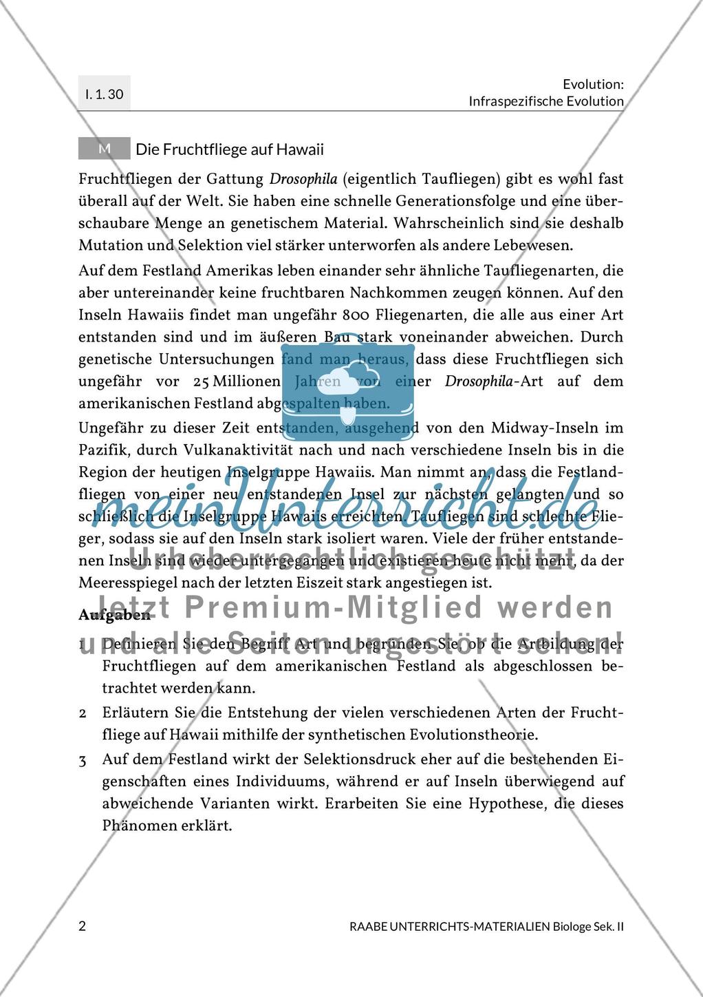 Evolution: Fruchtfliege auf Hawaii Preview 4