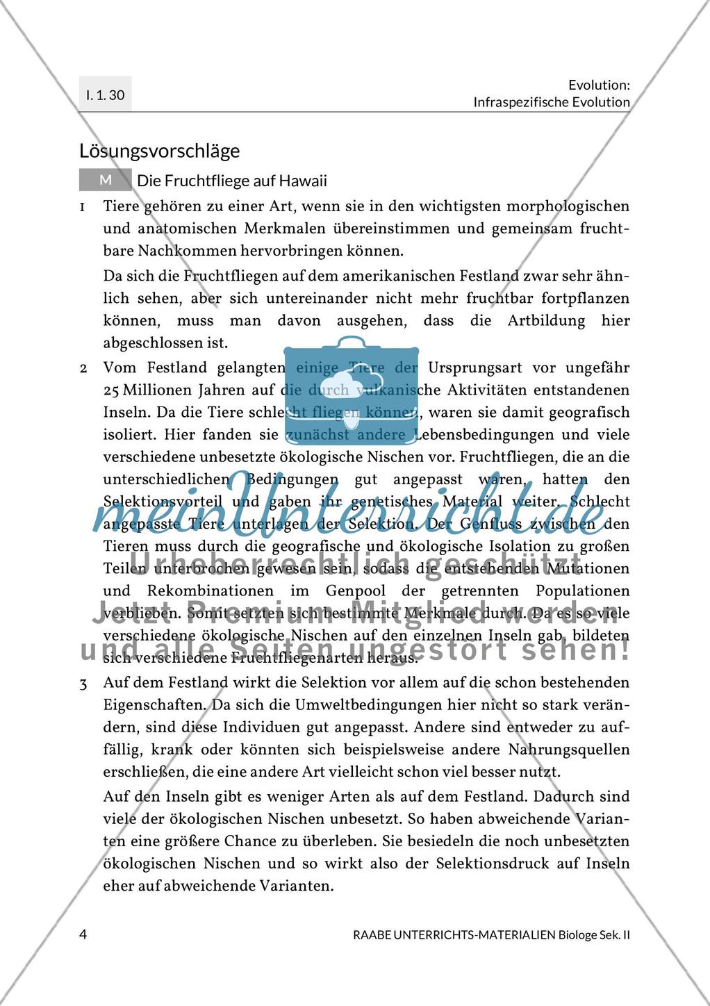 Evolution: Fruchtfliege auf Hawaii Preview 6