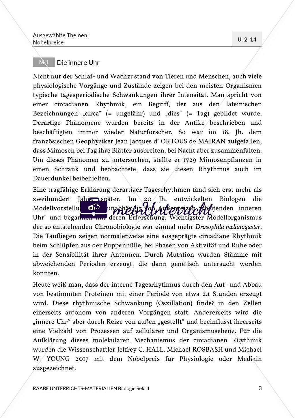Die innere Uhr Preview 1