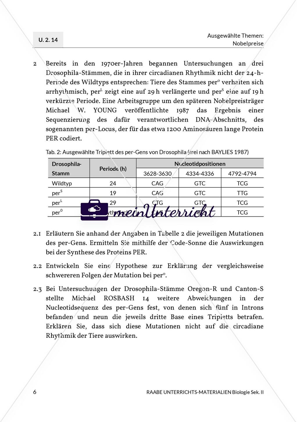 Die innere Uhr Preview 4