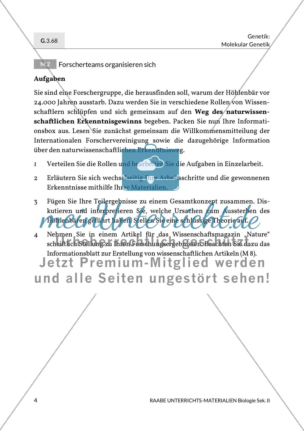 Forschungsmethoden der Paläogenetik am Beispiel des Höhlenbärs Preview 2