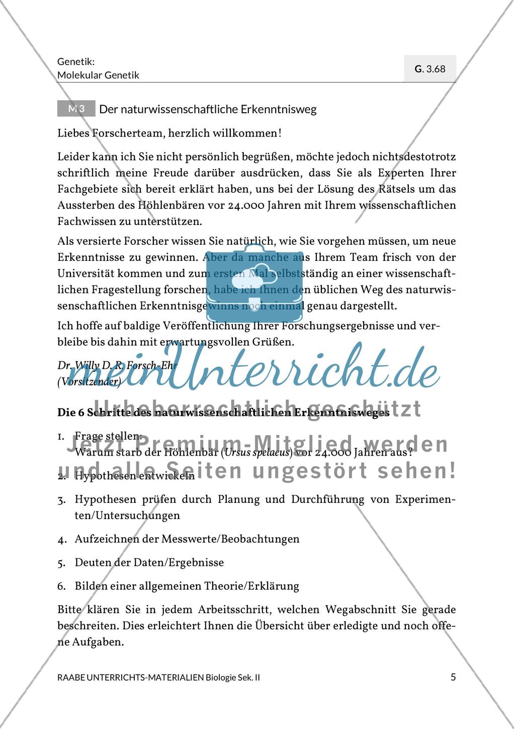 Forschungsmethoden der Paläogenetik am Beispiel des Höhlenbärs Preview 3