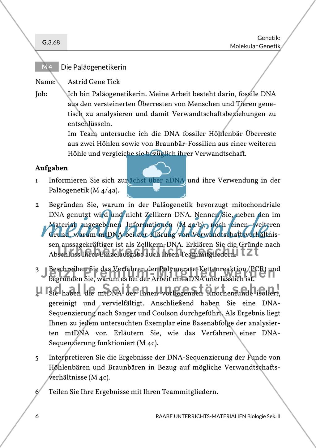 Forschungsmethoden der Paläogenetik am Beispiel des Höhlenbärs Preview 4
