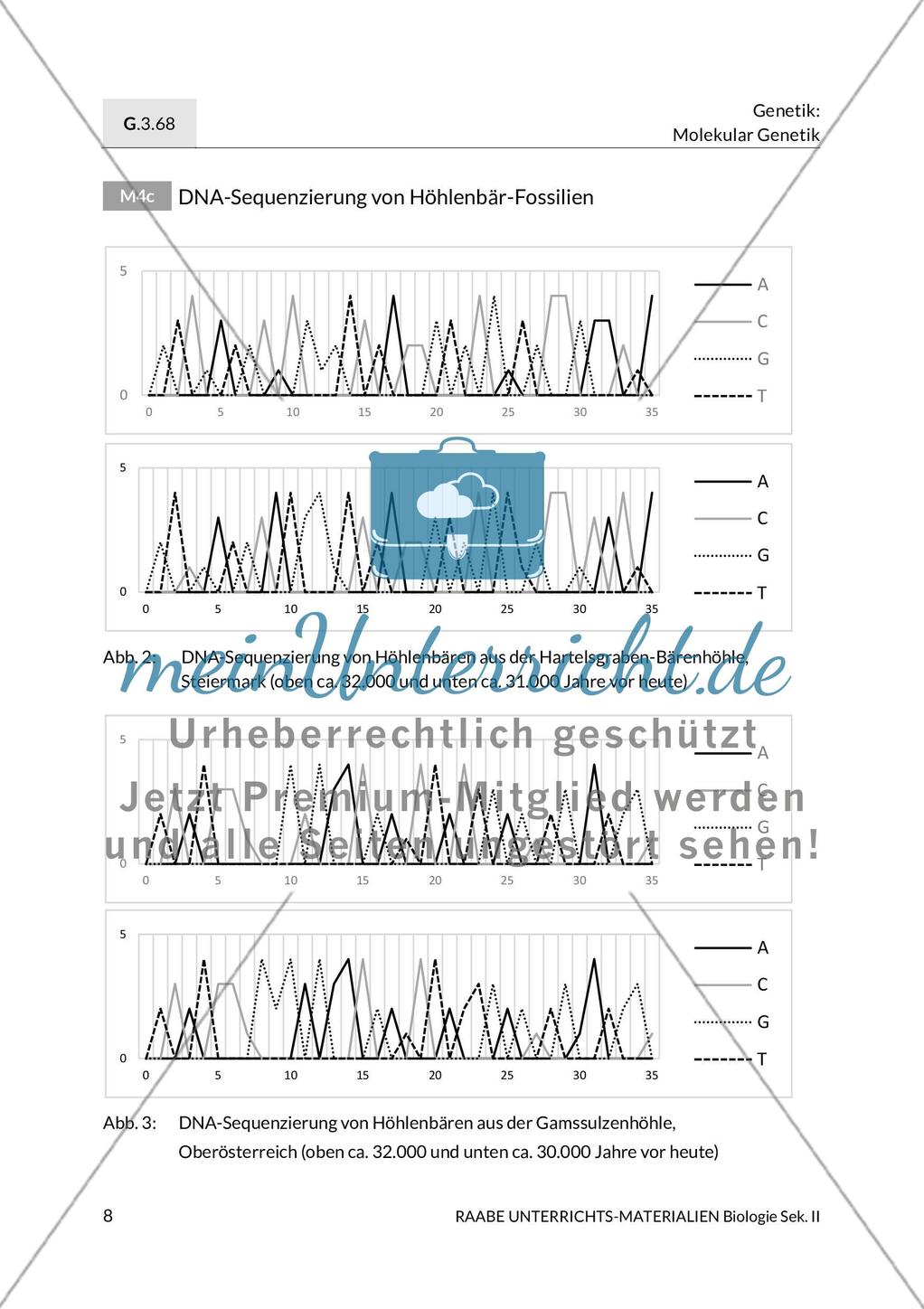Forschungsmethoden der Paläogenetik am Beispiel des Höhlenbärs Preview 6